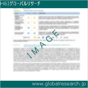グローバルリサーチ調査レポートのイメージ